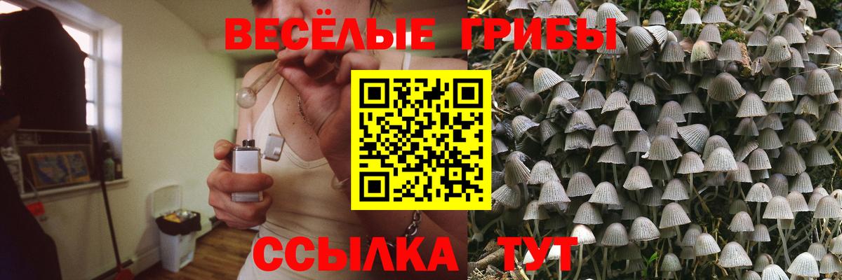 Галлюциногенные грибы Psilocybine cubensis Лосино-Петровский